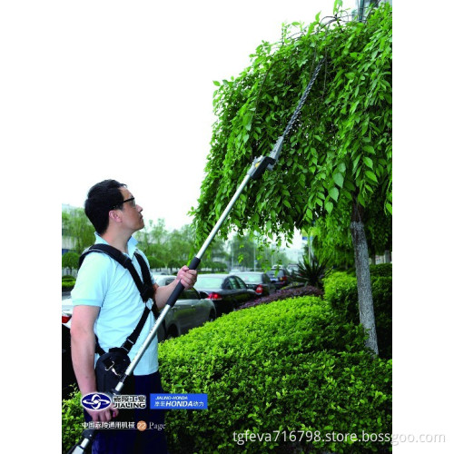 Long Reach Hedge Trimmer Th25L